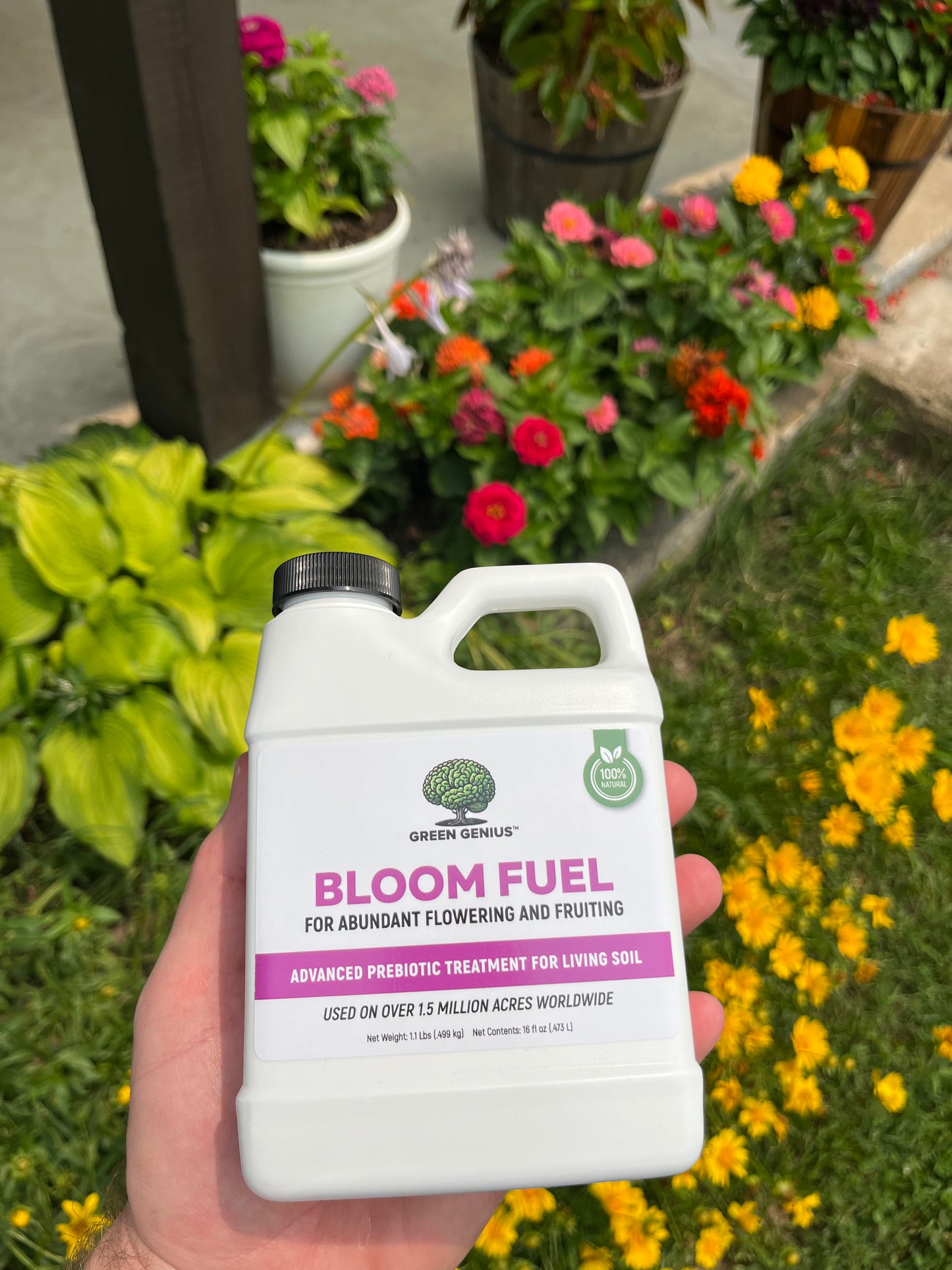Bloom Fuel 16 oz Concentrate
